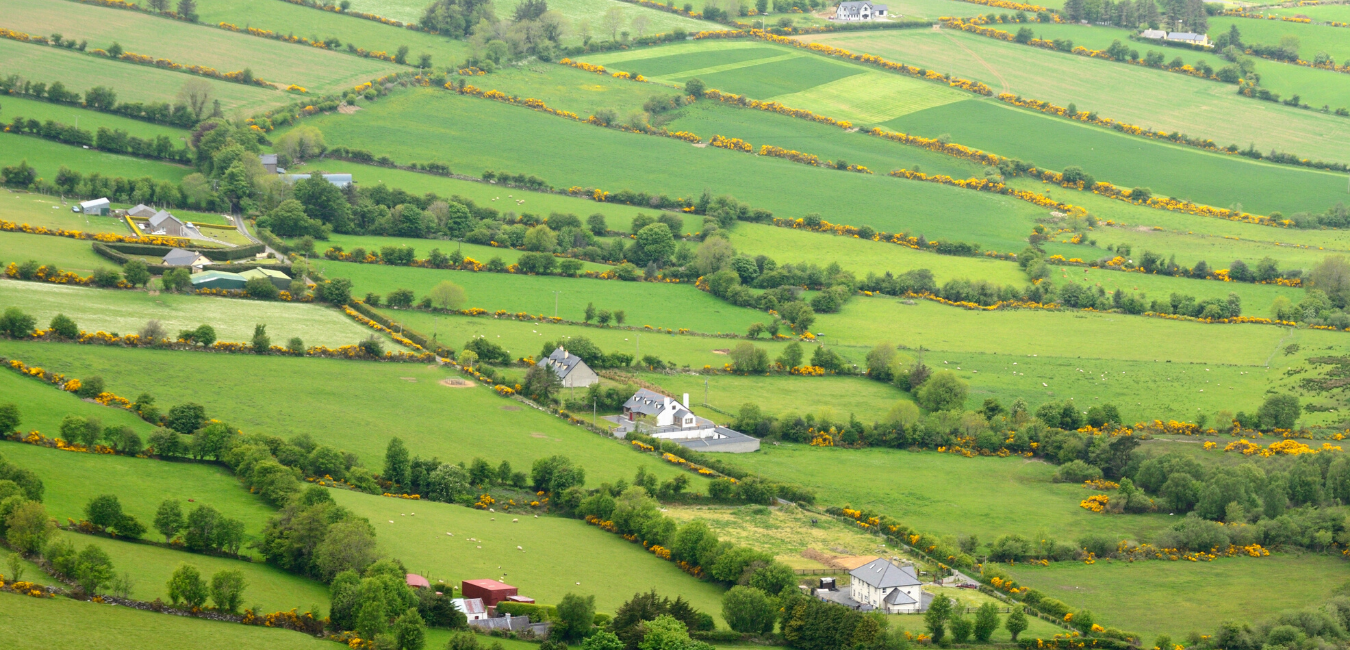 County Carlow