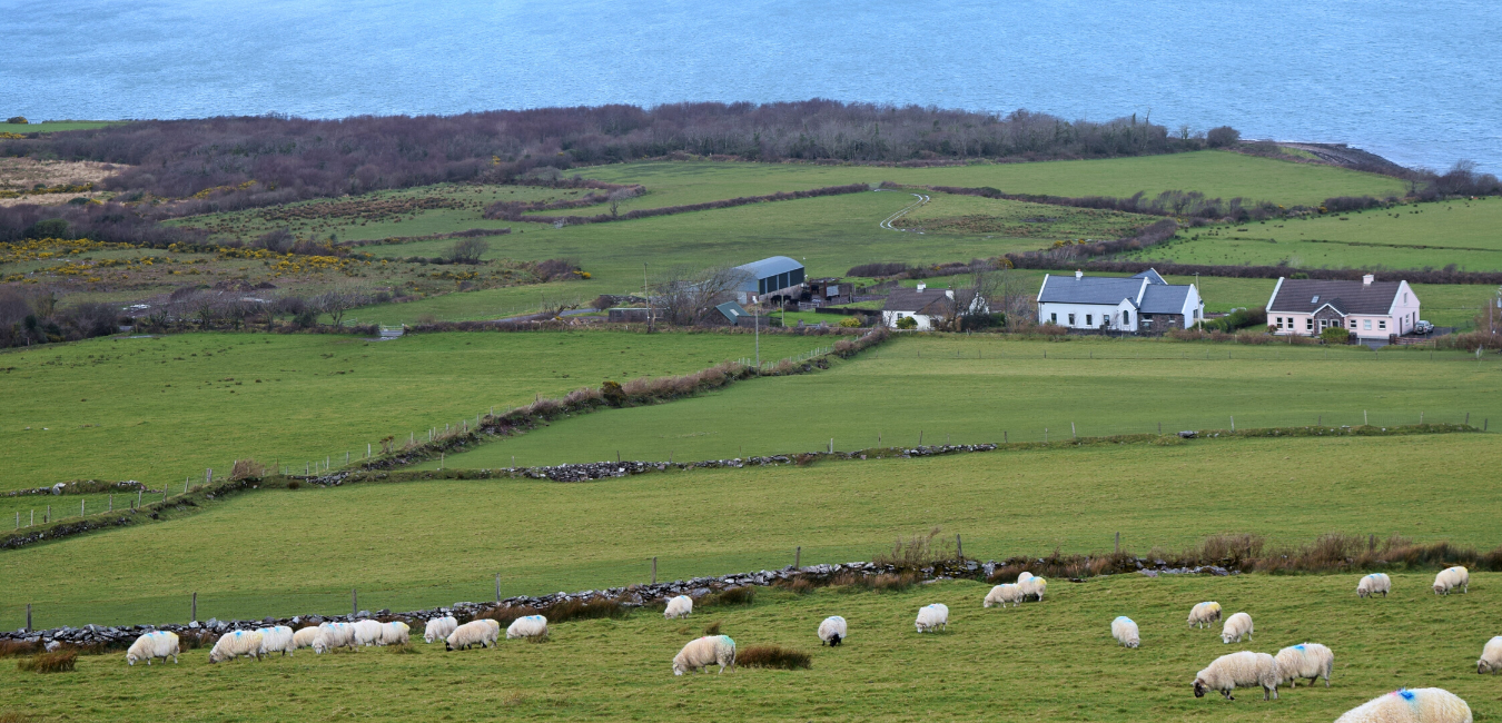 Rollout of the NBP in Kerry