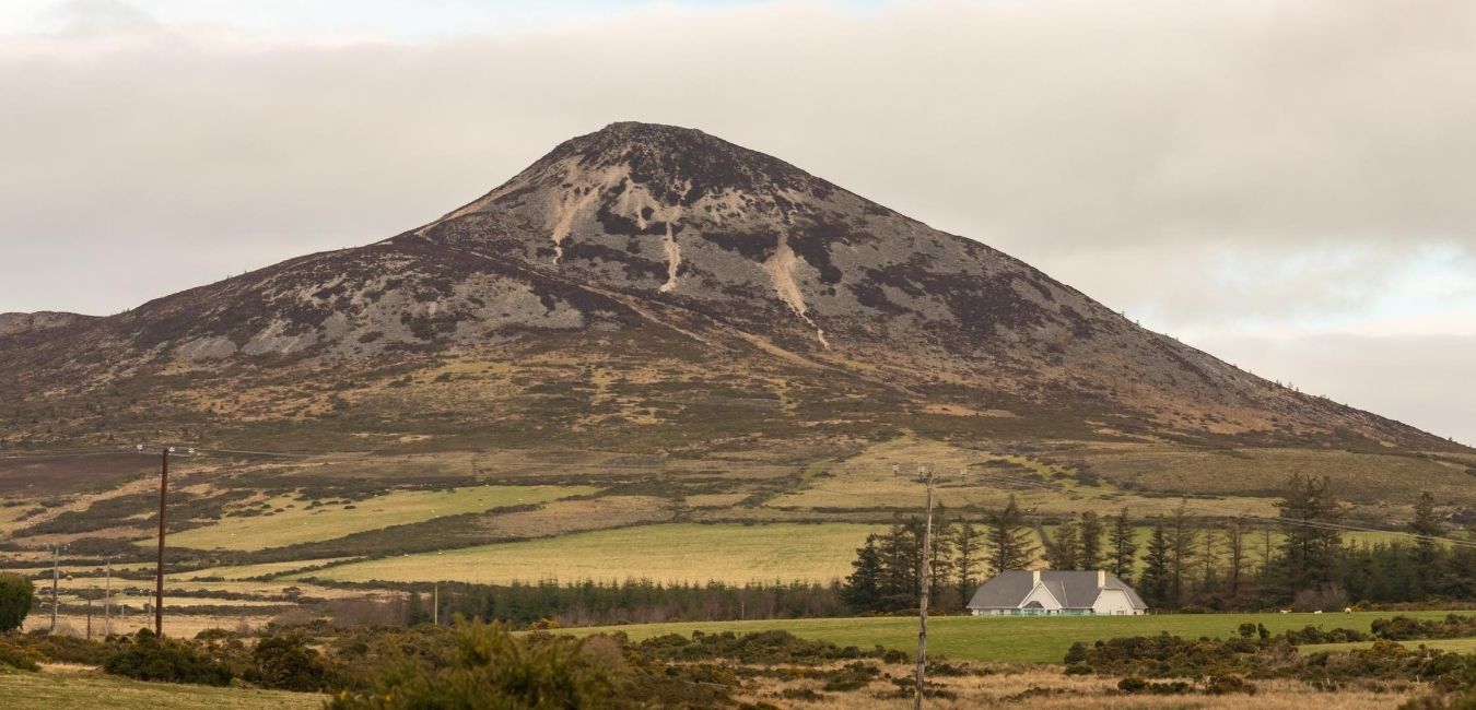 First phase of National Broadband Plan (NBP) underway in Wicklow