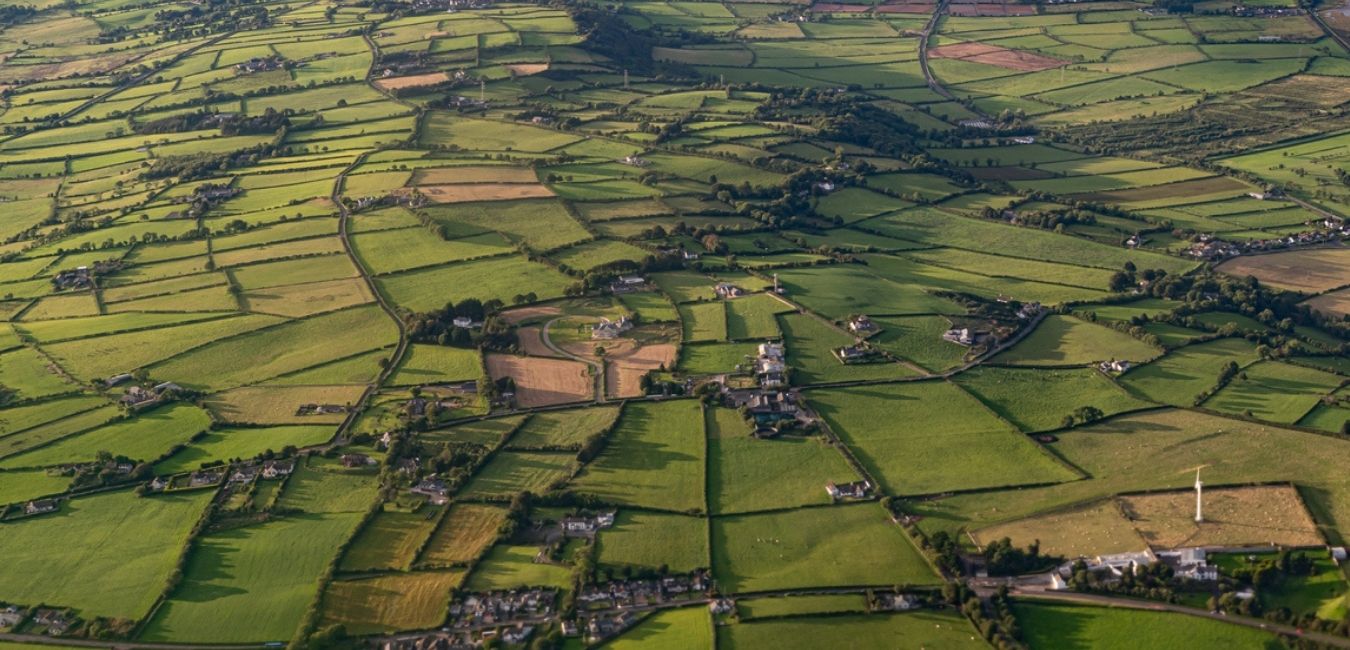 nbi surveying carlow