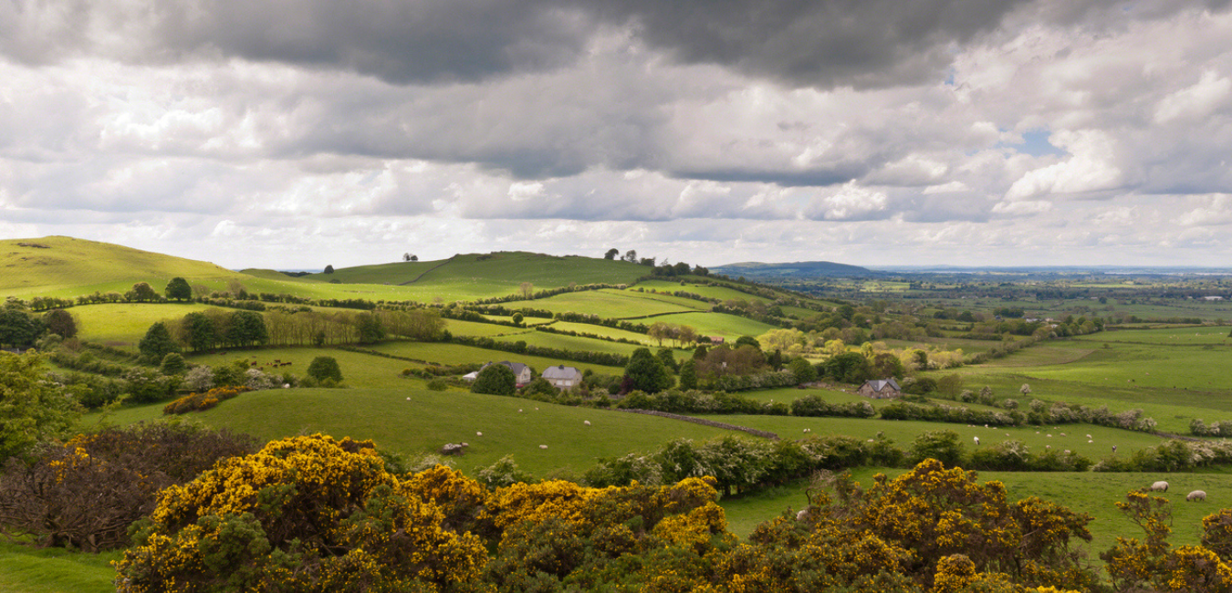 Meath Surveying Update National Broadband Ireland