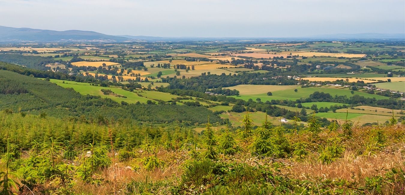 Surveying Updates Tipperary