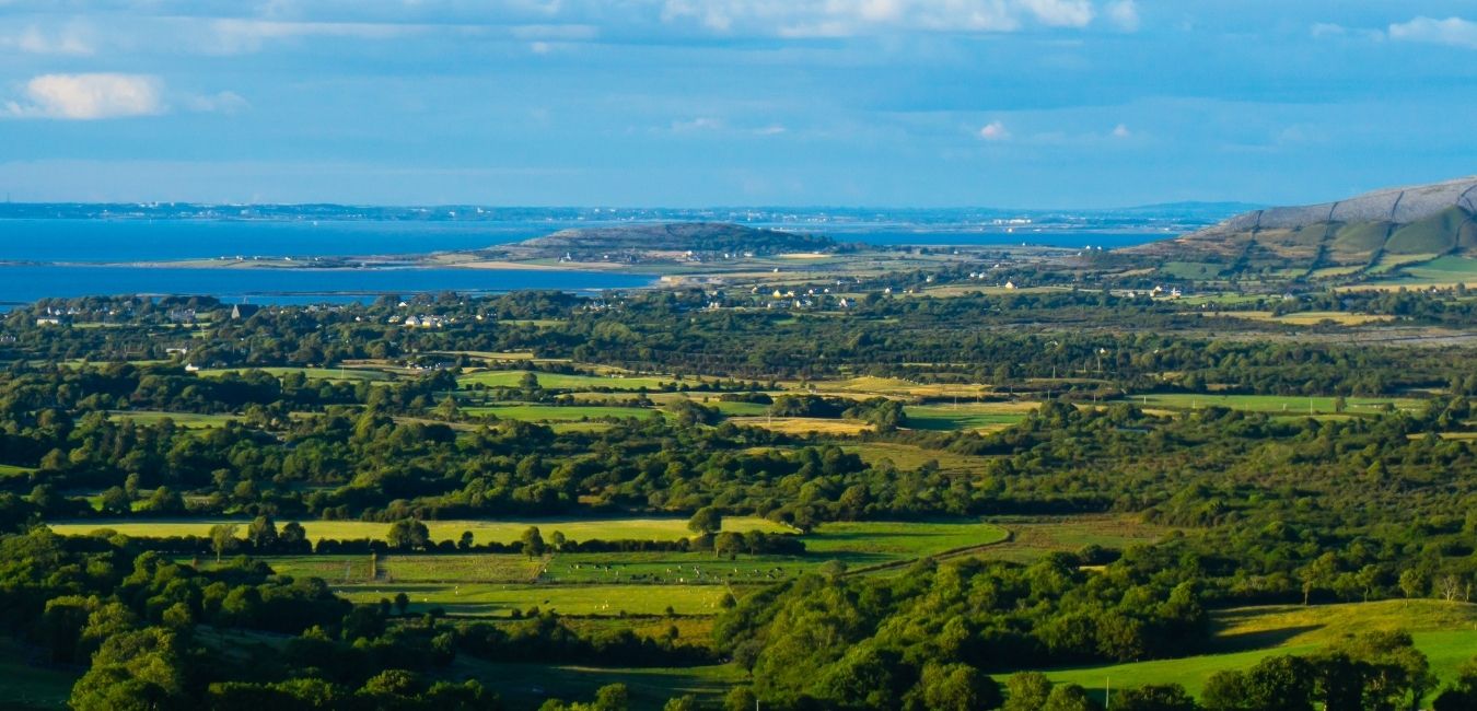 Surveying Update Galway