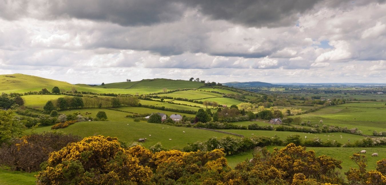 Surveying Update Meath